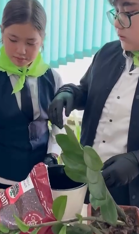 *“EcoLife: Жасыл болашақ”